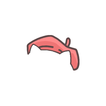 Red Painter Beret
